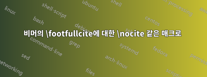 비머의 \footfullcite에 대한 \nocite 같은 매크로