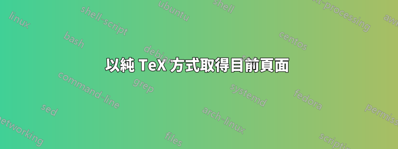 以純 TeX 方式取得目前頁面