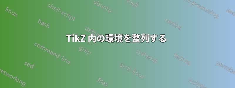 TikZ 内の環境を整列する