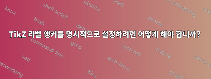 TikZ 라벨 앵커를 명시적으로 설정하려면 어떻게 해야 합니까?