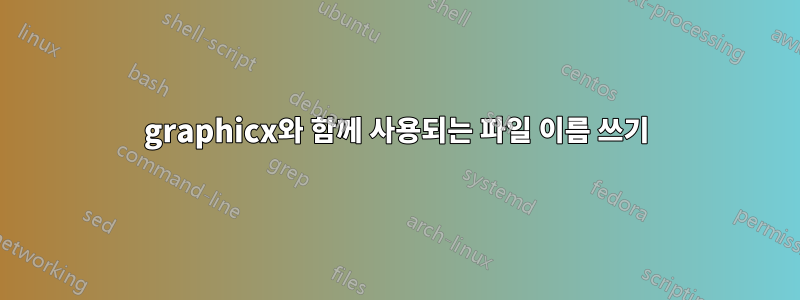 graphicx와 함께 사용되는 파일 이름 쓰기