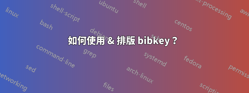 如何使用 & 排版 bibkey？