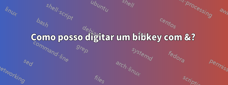 Como posso digitar um bibkey com &?