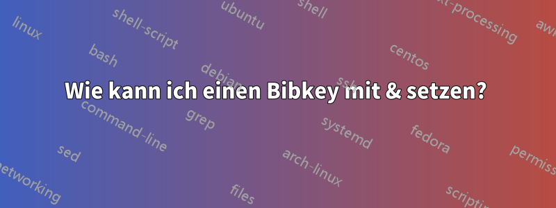 Wie kann ich einen Bibkey mit & setzen?
