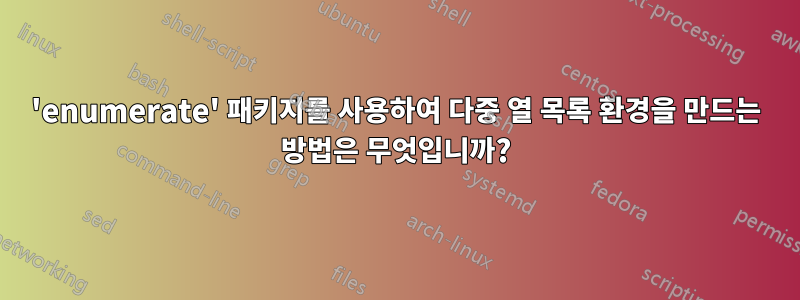 'enumerate' 패키지를 사용하여 다중 열 목록 환경을 만드는 방법은 무엇입니까?