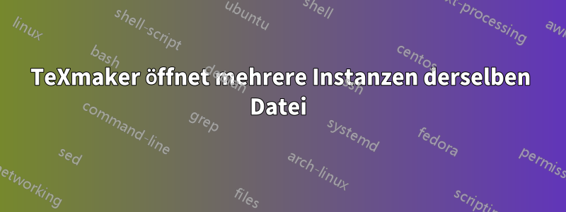 TeXmaker öffnet mehrere Instanzen derselben Datei 