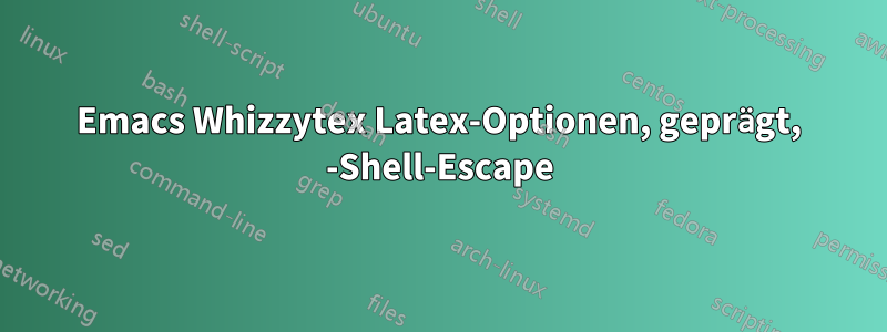 Emacs Whizzytex Latex-Optionen, geprägt, -Shell-Escape