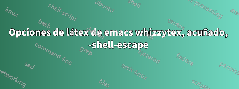 Opciones de látex de emacs whizzytex, acuñado, -shell-escape