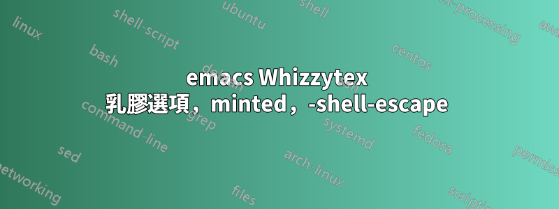 emacs Whizzytex 乳膠選項，minted，-shell-escape