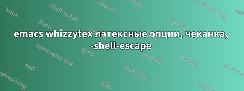 emacs whizzytex латексные опции, чеканка, -shell-escape