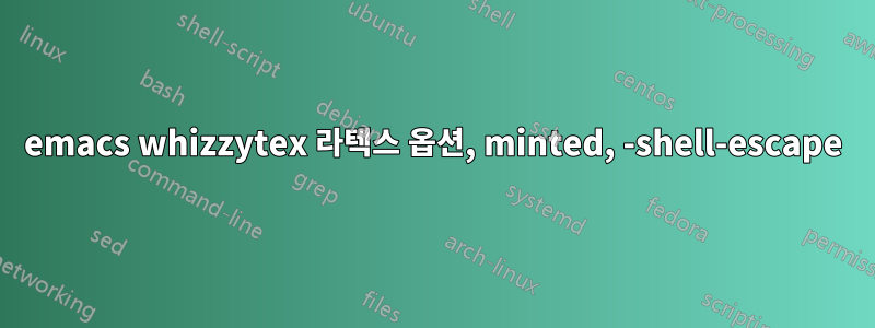 emacs whizzytex 라텍스 옵션, minted, -shell-escape