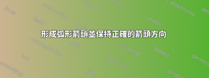 形成弧形箭頭並保持正確的箭頭方向