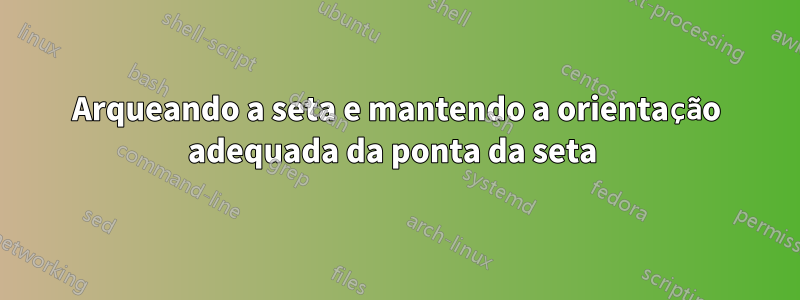 Arqueando a seta e mantendo a orientação adequada da ponta da seta 