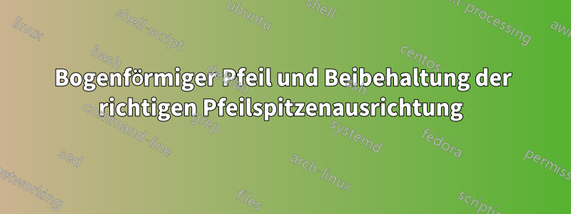 Bogenförmiger Pfeil und Beibehaltung der richtigen Pfeilspitzenausrichtung 