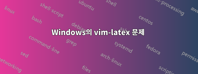 Windows의 vim-latex 문제