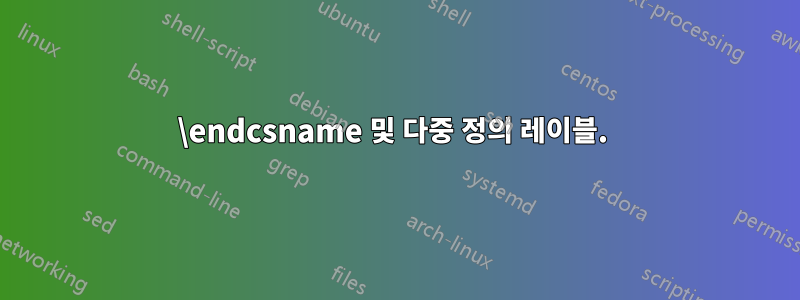 \endcsname 및 다중 정의 레이블. 