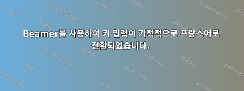 Beamer를 사용하여 키 입력이 기적적으로 프랑스어로 전환되었습니다.