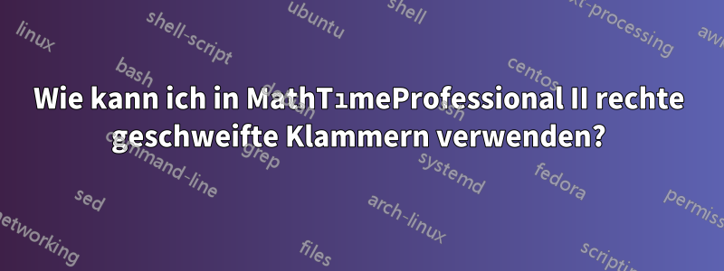 Wie kann ich in MathTımeProfessional II rechte geschweifte Klammern verwenden?