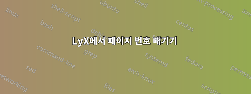 LyX에서 페이지 번호 매기기