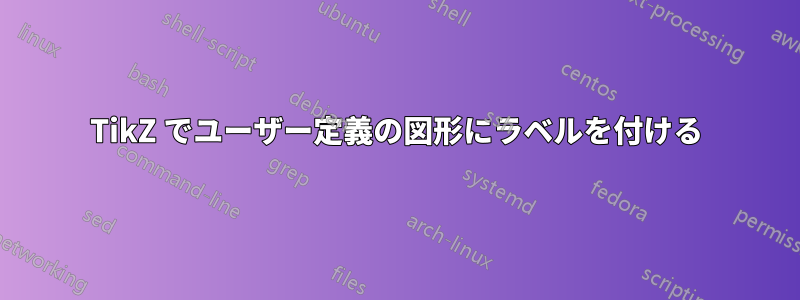 TikZ でユーザー定義の図形にラベルを付ける