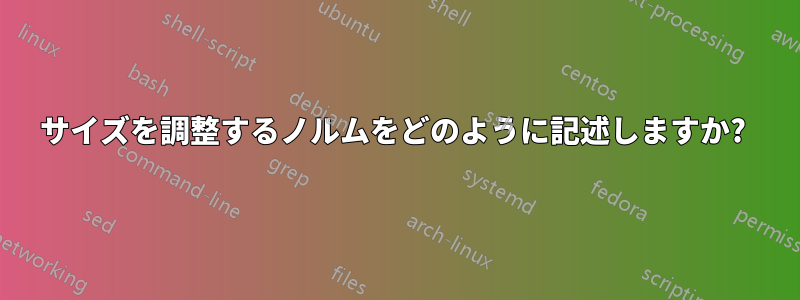 サイズを調整するノルムをどのように記述しますか? 