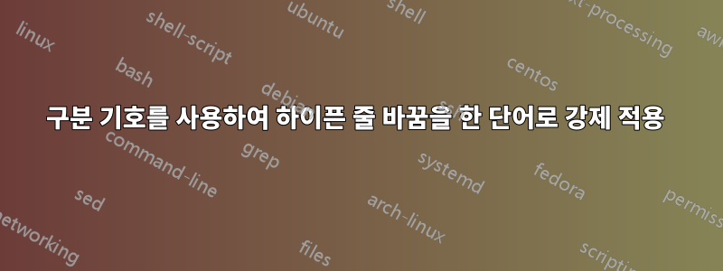 구분 기호를 사용하여 하이픈 줄 바꿈을 한 단어로 강제 적용 