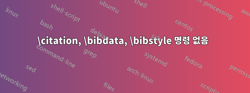 \citation, \bibdata, \bibstyle 명령 없음 