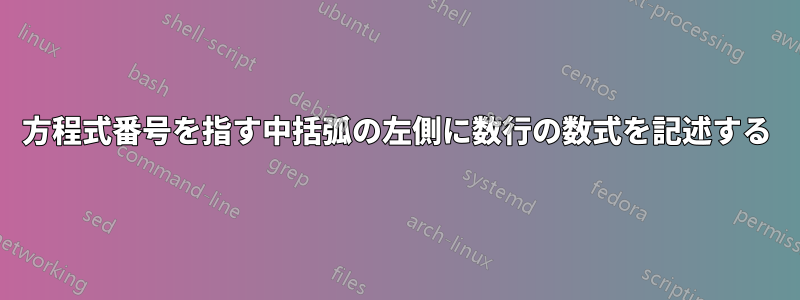 方程式番号を指す中括弧の左側に数行の数式を記述する