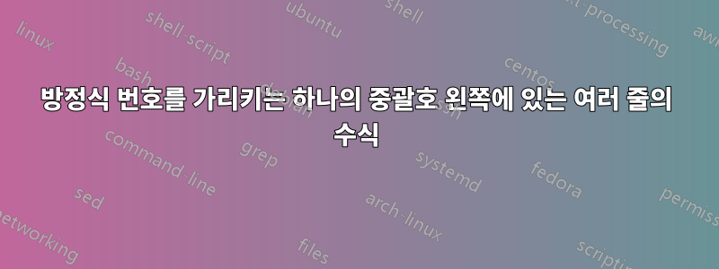 방정식 번호를 가리키는 하나의 중괄호 왼쪽에 있는 여러 줄의 수식