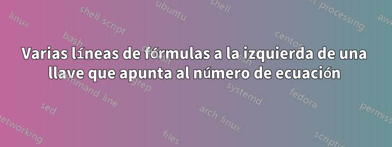 Varias líneas de fórmulas a la izquierda de una llave que apunta al número de ecuación