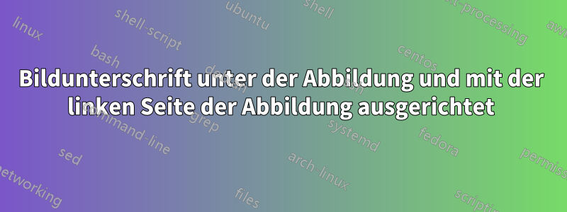 Bildunterschrift unter der Abbildung und mit der linken Seite der Abbildung ausgerichtet