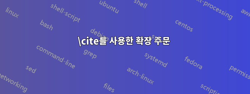 \cite를 사용한 확장 주문