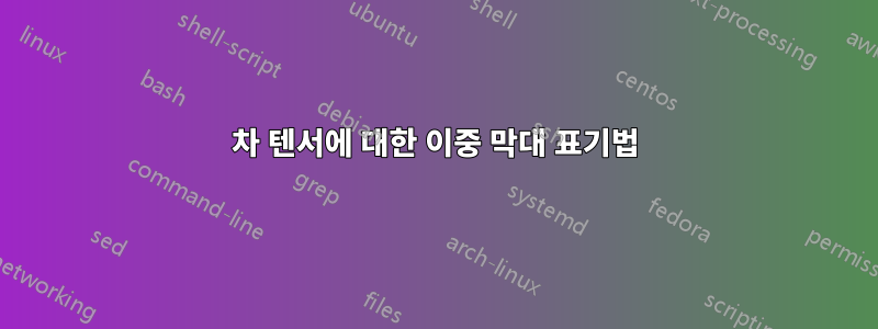 2차 텐서에 대한 이중 막대 표기법