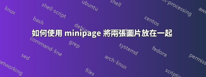 如何使用 minipage 將兩張圖片放在一起