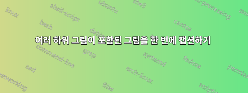 여러 하위 그림이 포함된 그림을 한 번에 캡션하기