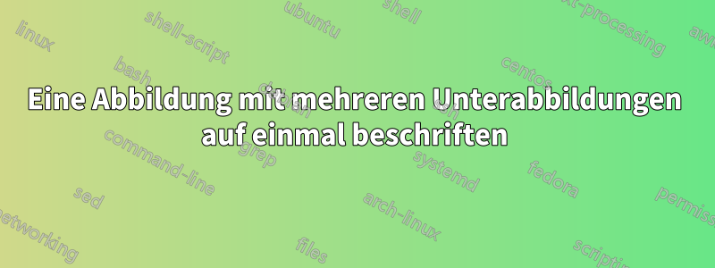 Eine Abbildung mit mehreren Unterabbildungen auf einmal beschriften