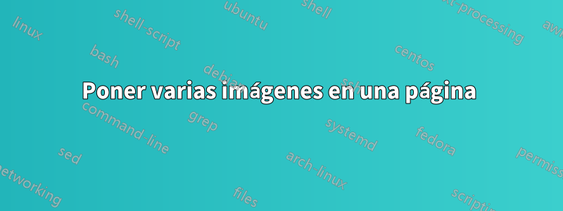 Poner varias imágenes en una página