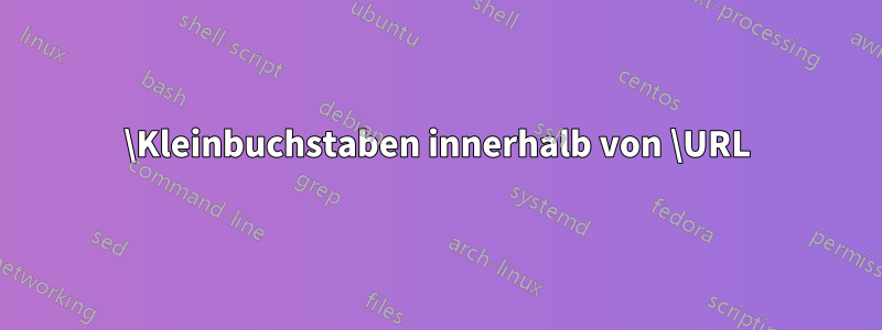 \Kleinbuchstaben innerhalb von \URL