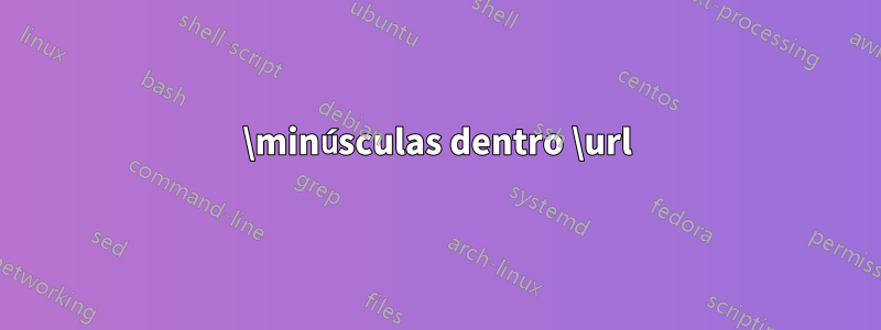 \minúsculas dentro \url