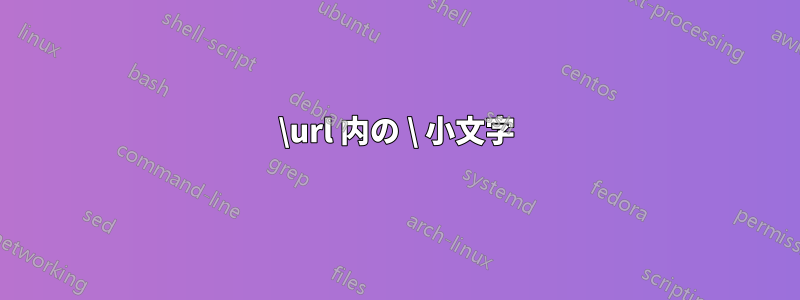 \url 内の \ 小文字