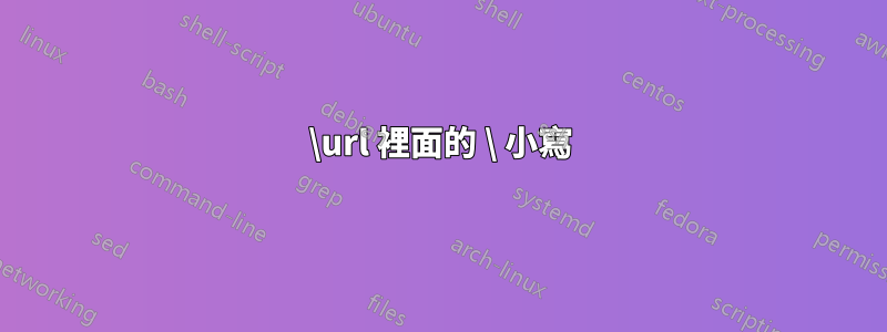 \url 裡面的 \ 小寫