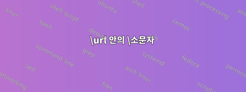 \url 안의 \소문자