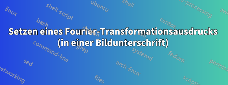 Setzen eines Fourier-Transformationsausdrucks (in einer Bildunterschrift)