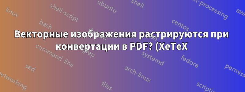 Векторные изображения растрируются при конвертации в PDF? (XeTeX)