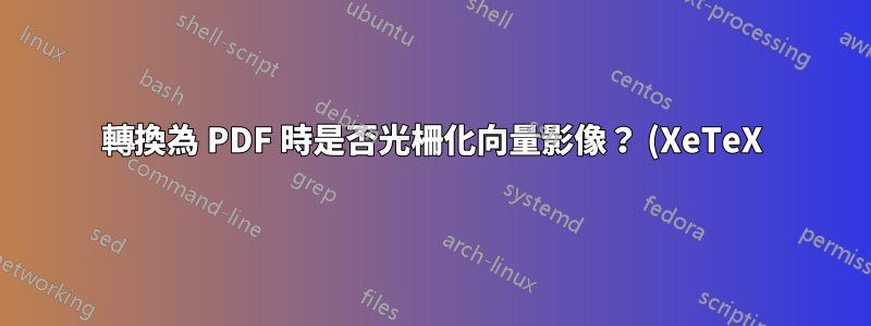 轉換為 PDF 時是否光柵化向量影像? (XeTeX)