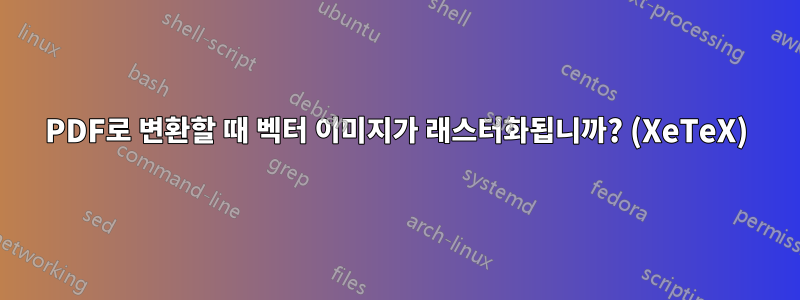 PDF로 변환할 때 벡터 이미지가 래스터화됩니까? (XeTeX)