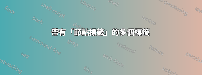 帶有「節點標籤」的多個標籤