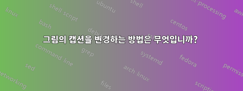 그림의 캡션을 변경하는 방법은 무엇입니까?