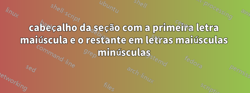 cabeçalho da seção com a primeira letra maiúscula e o restante em letras maiúsculas minúsculas