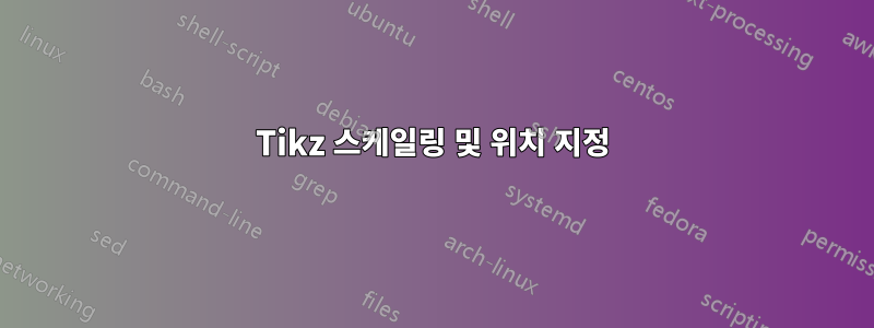 Tikz 스케일링 및 위치 지정